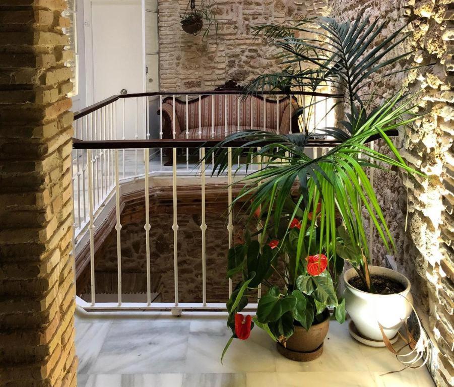 קדיז Apartamentos Rosario Centro מראה חיצוני תמונה
